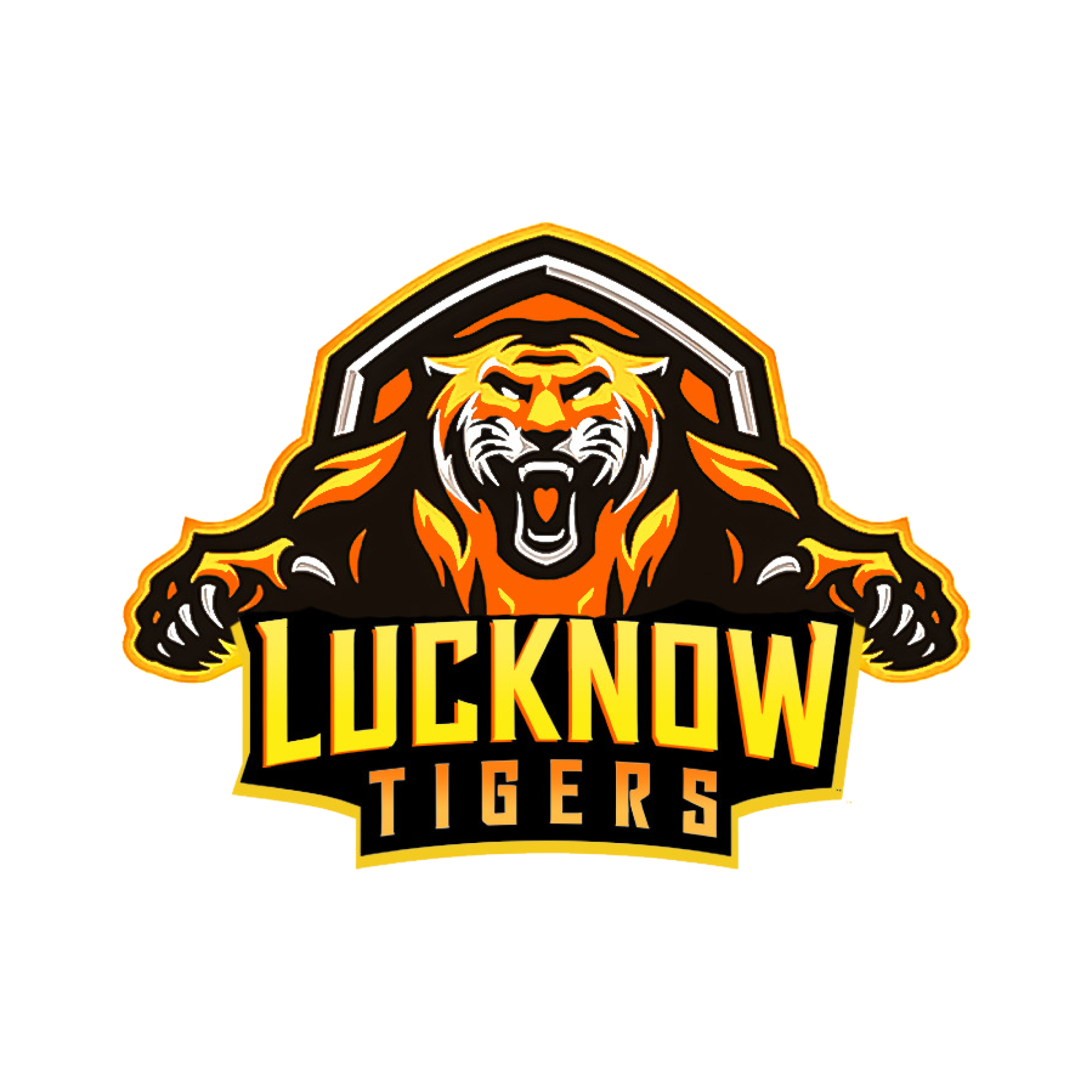 Lucknow Tigers